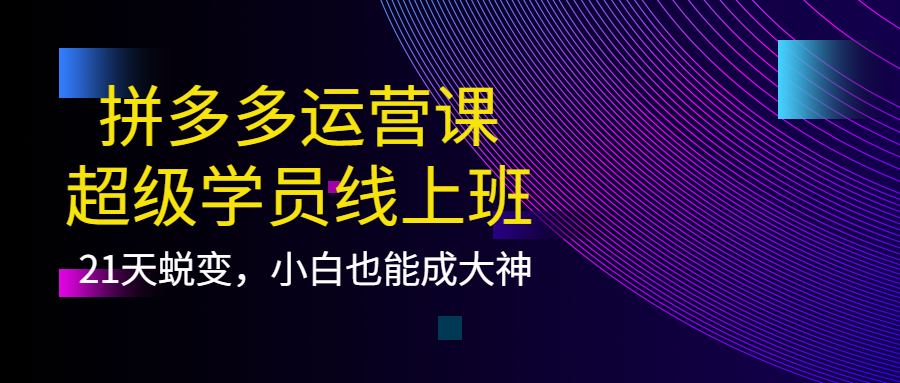 拼多多运营课：超级学员线上班，21天蜕变，小白也能成大神凯哥轻创网-网创项目资源站-副业项目-创业项目-搞钱项目凯哥轻创网