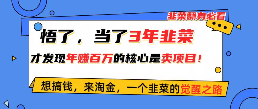 悟了，当了3年韭菜，才发现网赚圈年赚100万的核心是卖项目，含泪分享！凯哥轻创网-网创项目资源站-副业项目-创业项目-搞钱项目凯哥轻创网