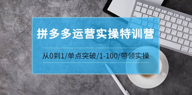 拼多多运营实操特训营：从0到1/单点突破/1-100/带领实操 价值2980元凯哥轻创网-网创项目资源站-副业项目-创业项目-搞钱项目凯哥轻创网