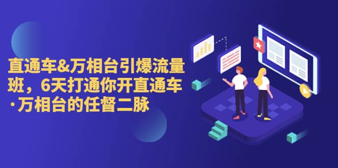 直通车+万相台引爆流量班，6天打通你开直通车·万相台的任督 二脉凯哥轻创网-网创项目资源站-副业项目-创业项目-搞钱项目凯哥轻创网