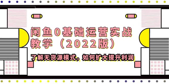 闲鱼0基础运营实战教学（2022版）了解无货源模式，如何扩大提升利润凯哥轻创网-网创项目资源站-副业项目-创业项目-搞钱项目凯哥轻创网