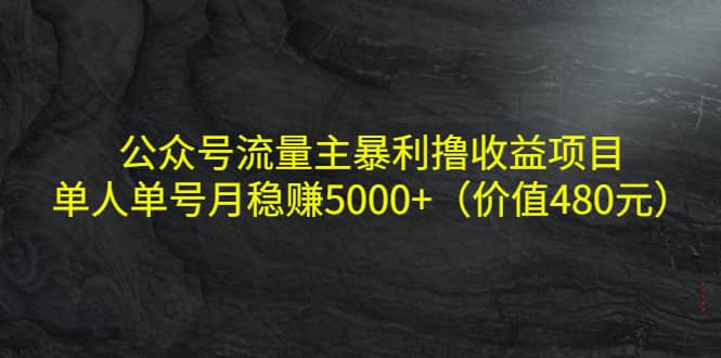 公众号流量主暴利撸收益项目，单人单号月稳赚5000+（价值480元）凯哥轻创网-网创项目资源站-副业项目-创业项目-搞钱项目凯哥轻创网