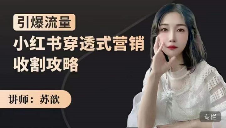 小红书穿透式营销收割攻略，引爆流量，助你玩转小红书凯哥轻创网-网创项目资源站-副业项目-创业项目-搞钱项目凯哥轻创网