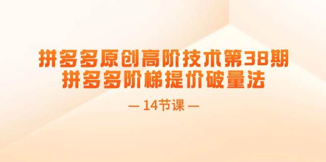 拼多多原创高阶技术第38期，拼多多阶梯提价破量法（14节课）凯哥轻创网-网创项目资源站-副业项目-创业项目-搞钱项目凯哥轻创网