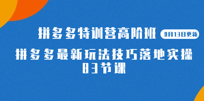 2023拼多多·特训营高阶班【9月13日更新】拼多多最新玩法技巧落地实操-83节凯哥轻创网-网创项目资源站-副业项目-创业项目-搞钱项目凯哥轻创网