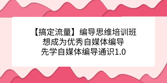【搞定流量】编导思维培训班，想成为优秀自媒体编导先学自媒体编导通识1.0凯哥轻创网-网创项目资源站-副业项目-创业项目-搞钱项目凯哥轻创网