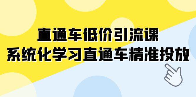 直通车-低价引流课，系统化学习直通车精准投放（14节课）凯哥轻创网-网创项目资源站-副业项目-创业项目-搞钱项目凯哥轻创网