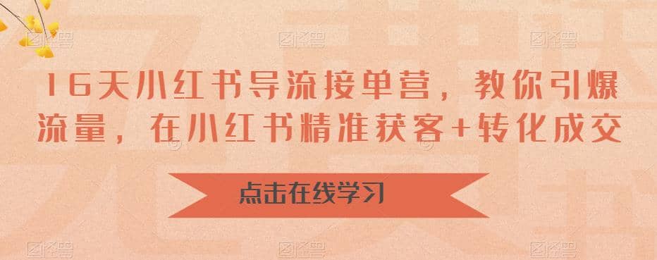 16天-小红书 导流接单营，教你引爆流量，在小红书精准获客+转化成交凯哥轻创网-网创项目资源站-副业项目-创业项目-搞钱项目凯哥轻创网