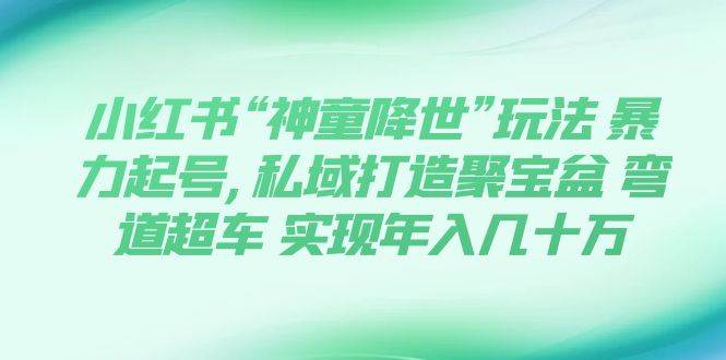 小红书“神童降世”玩法 暴力起号,私域打造聚宝盆 弯道超车 实现年入几十万凯哥轻创网-网创项目资源站-副业项目-创业项目-搞钱项目凯哥轻创网