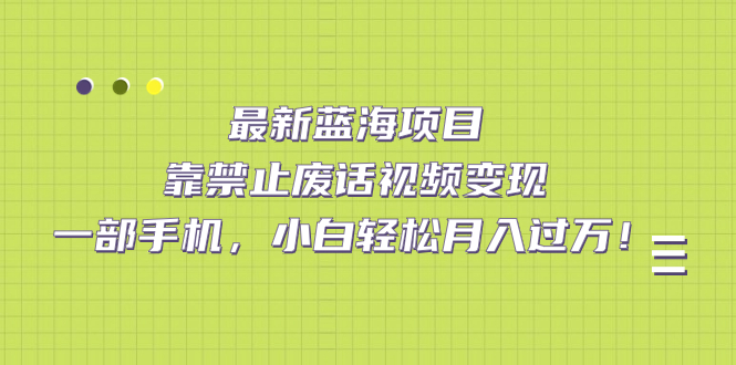 最新蓝海项目，靠禁止废话视频变现，一部手机，小白轻松月入过万！凯哥轻创网-网创项目资源站-副业项目-创业项目-搞钱项目凯哥轻创网