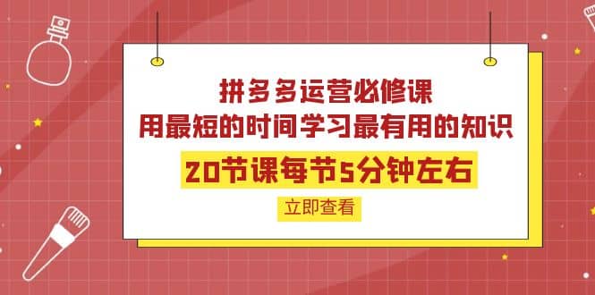 拼多多运营必修课：20节课每节5分钟左右，用最短的时间学习最有用的知识凯哥轻创网-网创项目资源站-副业项目-创业项目-搞钱项目凯哥轻创网
