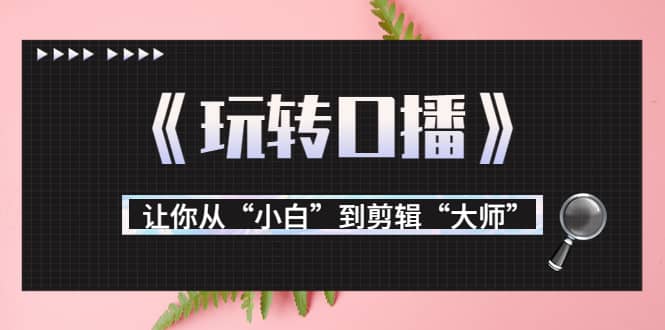 月营业额700万+大佬教您《玩转口播》让你从“小白”到剪辑“大师”凯哥轻创网-网创项目资源站-副业项目-创业项目-搞钱项目凯哥轻创网