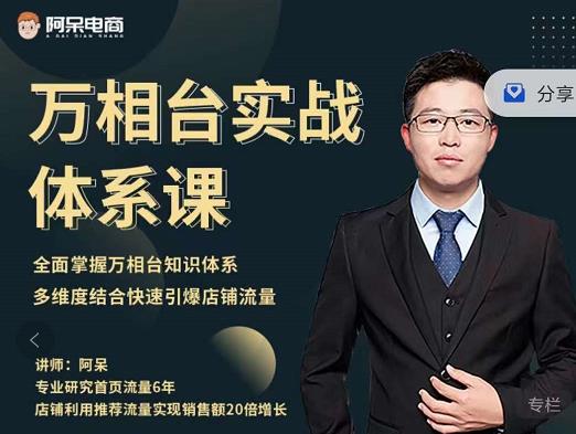 阿呆-万相台实战体系课，帮您全面掌握万相台知识体系凯哥轻创网-网创项目资源站-副业项目-创业项目-搞钱项目凯哥轻创网