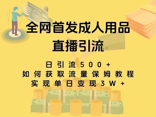 最新全网独创首发，成人用品直播引流获客暴力玩法，单日变现3w保姆级教程凯哥轻创网-网创项目资源站-副业项目-创业项目-搞钱项目凯哥轻创网