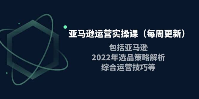 亚马逊运营实操课（每周更新）包括亚马逊2022选品策略解析，综合运营技巧等凯哥轻创网-网创项目资源站-副业项目-创业项目-搞钱项目凯哥轻创网