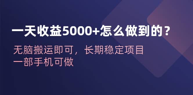 一天收益5000+怎么做到的？无脑搬运即可，长期稳定项目，一部手机可做凯哥轻创网-网创项目资源站-副业项目-创业项目-搞钱项目凯哥轻创网