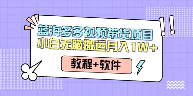人人都能操作的蓝海多多视频带货项目 小白无脑搬运（教程+软件）凯哥轻创网-网创项目资源站-副业项目-创业项目-搞钱项目凯哥轻创网