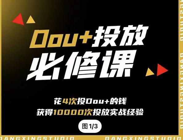 代同学DOU+投放训练营，用付费流量撬动大额自然流量，过得超额变现转化凯哥轻创网-网创项目资源站-副业项目-创业项目-搞钱项目凯哥轻创网