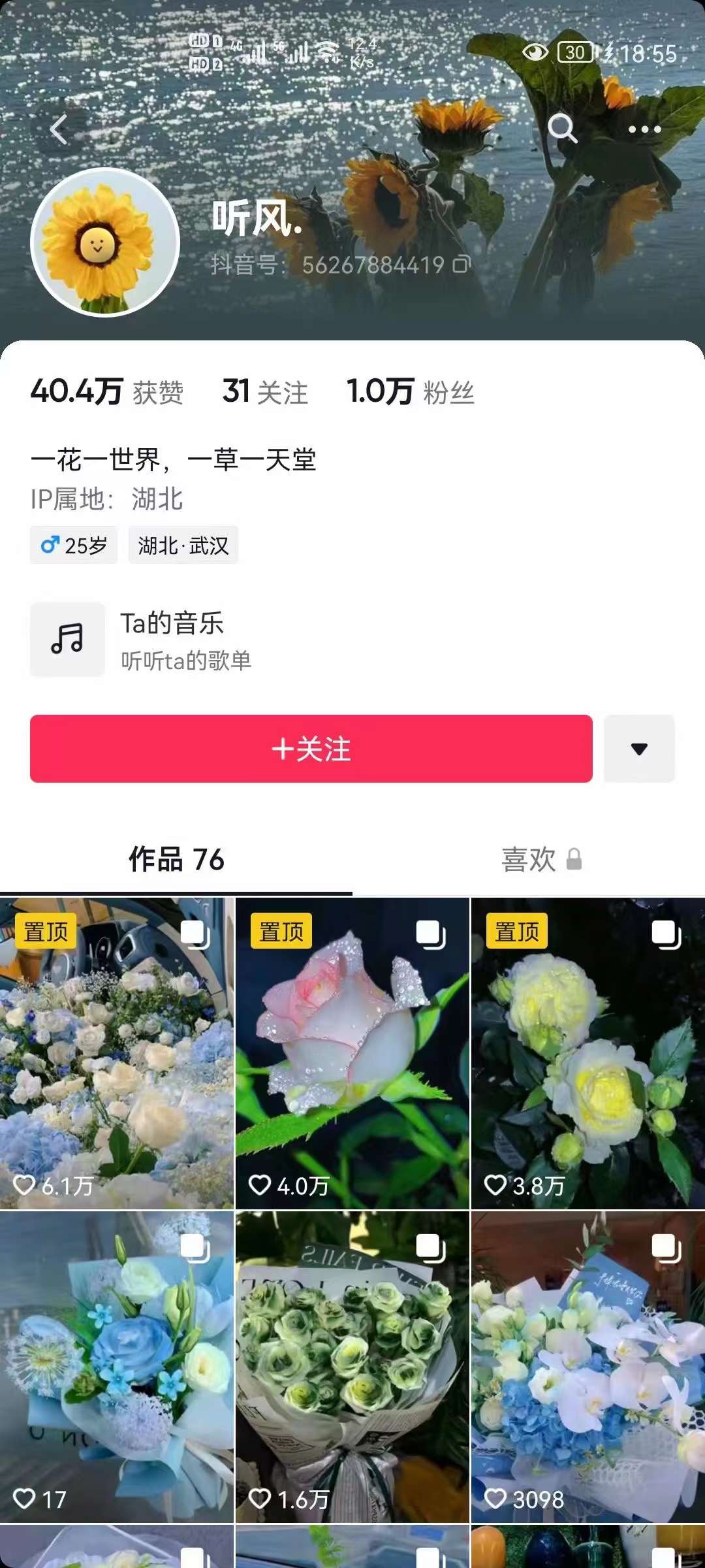 图片[2]凯哥轻创网-网创项目资源站-副业项目-创业项目-搞钱项目抖音壁纸变现项目：实战日入380+发布壁纸素材获取收益！凯哥轻创网-网创项目资源站-副业项目-创业项目-搞钱项目凯哥轻创网