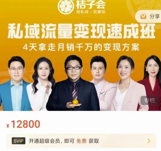 桔子会·私域流量变现速成班，4天拿走月销千万的变现方案 价值12800元凯哥轻创网-网创项目资源站-副业项目-创业项目-搞钱项目凯哥轻创网