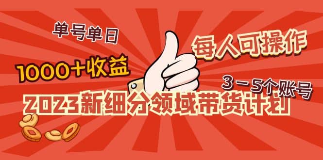 2023新细分领域带货计划：单号单日1000+收益不难，每人可操作3-5个账号凯哥轻创网-网创项目资源站-副业项目-创业项目-搞钱项目凯哥轻创网