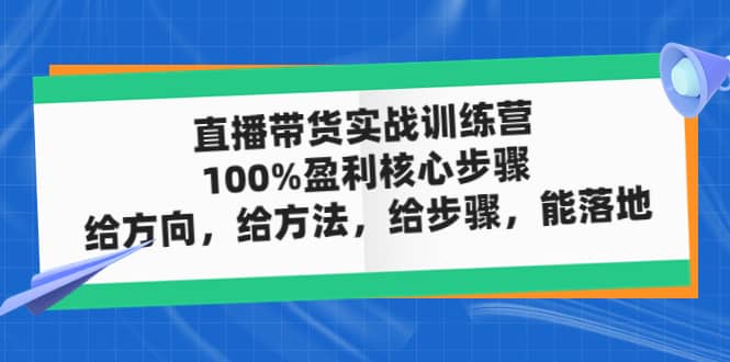直播带货实战训练营：100%盈利核心步骤，给方向，给方法，给步骤，能落地凯哥轻创网-网创项目资源站-副业项目-创业项目-搞钱项目凯哥轻创网
