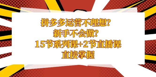 拼多多运营不理想？新手不会做？15节系列课+2节直播课，直接掌握凯哥轻创网-网创项目资源站-副业项目-创业项目-搞钱项目凯哥轻创网
