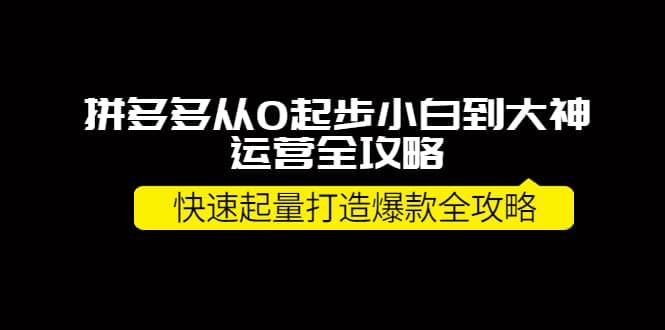 拼多多从0起步小白到大神运营全攻略凯哥轻创网-网创项目资源站-副业项目-创业项目-搞钱项目凯哥轻创网