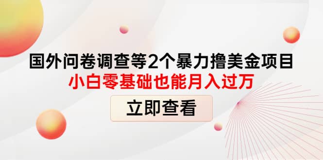 国外问卷调查等2个暴力撸美元项目，小白零基础也能月入过万凯哥轻创网-网创项目资源站-副业项目-创业项目-搞钱项目凯哥轻创网