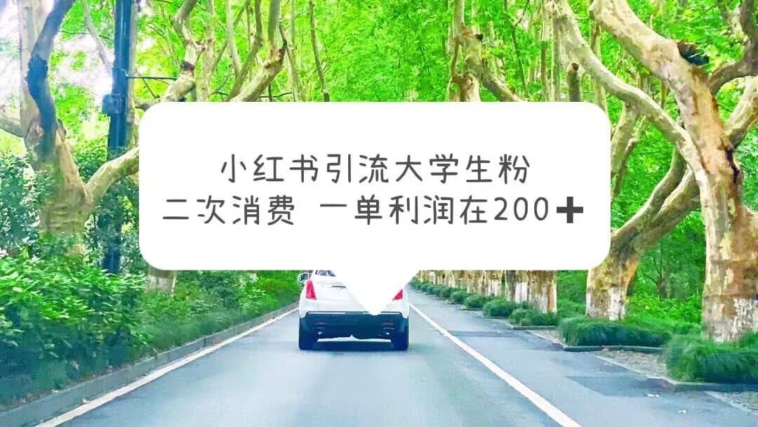 小红书引流大学生粉，变现项目，一单利润在200+（教程+资源）凯哥轻创网-网创项目资源站-副业项目-创业项目-搞钱项目凯哥轻创网