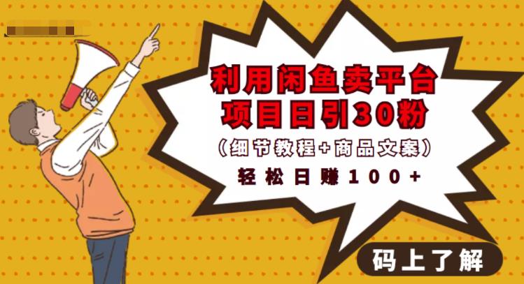 利用闲鱼卖平台项目课程资源日引流30+精准粉丝，轻松日赚100+，积累人脉可实现二次变现（细节教程+商品文案）凯哥轻创网-网创项目资源站-副业项目-创业项目-搞钱项目凯哥轻创网