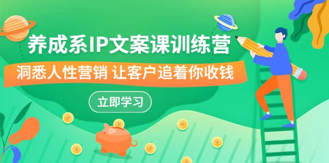 养成系-IP文案课训练营，文案心法的天花板 洞悉人性营销 让客户追着你收钱凯哥轻创网-网创项目资源站-副业项目-创业项目-搞钱项目凯哥轻创网