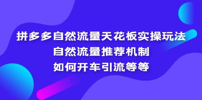 拼多多自然流量天花板实操玩法：自然流量推荐机制，如何开车引流等等凯哥轻创网-网创项目资源站-副业项目-创业项目-搞钱项目凯哥轻创网