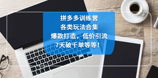 拼多多训练营：各玩法合集，爆款打造，低价引流，7天破千单等等凯哥轻创网-网创项目资源站-副业项目-创业项目-搞钱项目凯哥轻创网