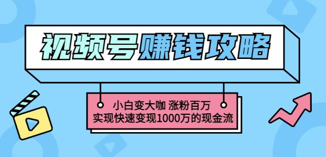 玩转微信视频号赚钱：小白变大咖涨粉百万实现快速变现1000万的现金流凯哥轻创网-网创项目资源站-副业项目-创业项目-搞钱项目凯哥轻创网