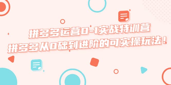 拼多多运营0-1实战特训营，拼多多从0础到进阶的可实操玩法凯哥轻创网-网创项目资源站-副业项目-创业项目-搞钱项目凯哥轻创网