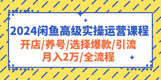 2024闲鱼高级实操运营课程：开店/养号/选择爆款/引流/月入2万/全流程凯哥轻创网-网创项目资源站-副业项目-创业项目-搞钱项目凯哥轻创网