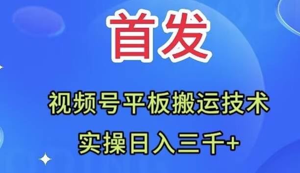 全网首发：视频号平板搬运技术，实操日入三千＋凯哥轻创网-网创项目资源站-副业项目-创业项目-搞钱项目凯哥轻创网