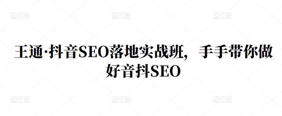 王通·抖音SEO落地实战班，手‬手带你做好音抖‬‬SEO凯哥轻创网-网创项目资源站-副业项目-创业项目-搞钱项目凯哥轻创网