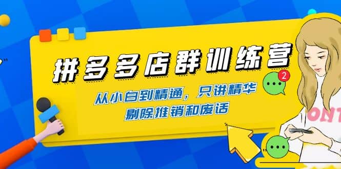 拼多多店群训练营：从小白到精通，只讲精华，剔除推销和废话凯哥轻创网-网创项目资源站-副业项目-创业项目-搞钱项目凯哥轻创网