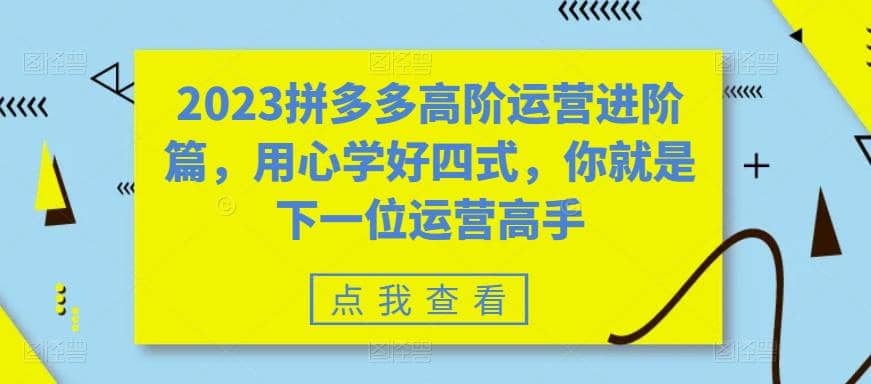 2023拼多多高阶运营进阶篇，用心学好四式，你就是下一位运营高手凯哥轻创网-网创项目资源站-副业项目-创业项目-搞钱项目凯哥轻创网