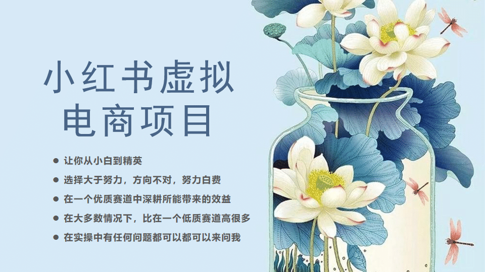 小红书虚拟电商从0到1，让你从小白到精英（20节实操课程）凯哥轻创网-网创项目资源站-副业项目-创业项目-搞钱项目凯哥轻创网
