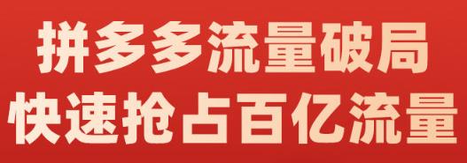 阿杰·拼多多流量破局:如何打黑标，爆款的思路，拼多多流量框架，快速抢占百亿流量凯哥轻创网-网创项目资源站-副业项目-创业项目-搞钱项目凯哥轻创网