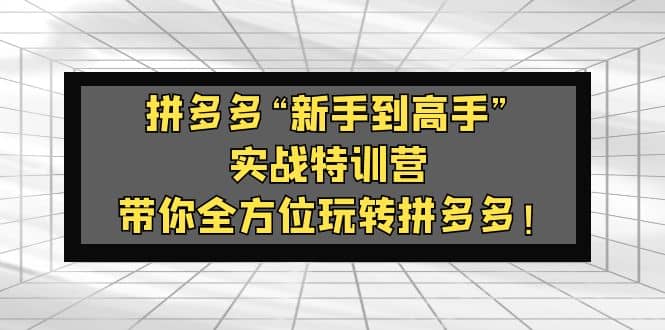 拼多多“新手到高手”实战特训营：带你全方位玩转拼多多凯哥轻创网-网创项目资源站-副业项目-创业项目-搞钱项目凯哥轻创网