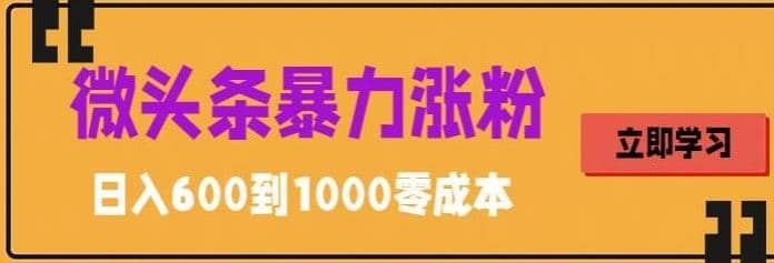 微头条暴力涨粉技巧搬运文案就能涨几万粉丝，简单0成本，日赚600凯哥轻创网-网创项目资源站-副业项目-创业项目-搞钱项目凯哥轻创网