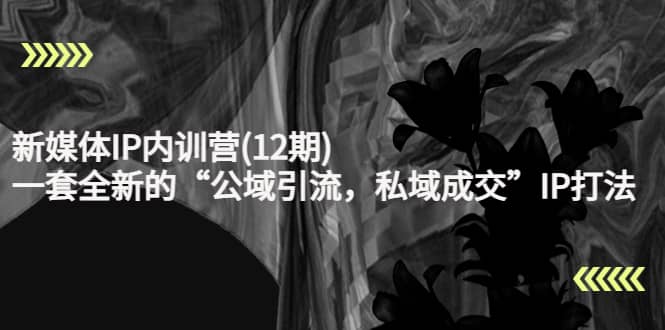 新媒体IP内训营(12期)，一套全新的“公域引流，私域成交”IP打法，直接带走凯哥轻创网-网创项目资源站-副业项目-创业项目-搞钱项目凯哥轻创网