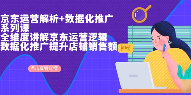京东运营解析与数据化推广系列课，全维度讲解京东运营逻辑+数据化推广提升店铺销售额凯哥轻创网-网创项目资源站-副业项目-创业项目-搞钱项目凯哥轻创网