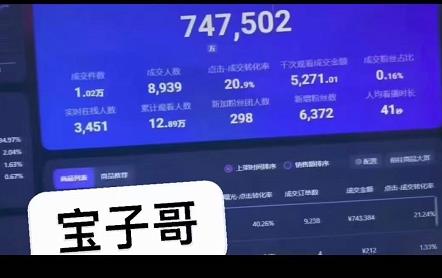 宝子哥无人直播，半无人直播，Obs+伴侣玩法，快速打标签+养鱼凯哥轻创网-网创项目资源站-副业项目-创业项目-搞钱项目凯哥轻创网