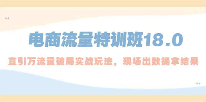电商流量特训班18.0，直引万流量破局实操玩法，现场出数据拿结果凯哥轻创网-网创项目资源站-副业项目-创业项目-搞钱项目凯哥轻创网