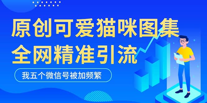 黑科技纯原创可爱猫咪图片，全网精准引流，实操5个VX号被加频繁凯哥轻创网-网创项目资源站-副业项目-创业项目-搞钱项目凯哥轻创网